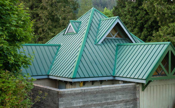 Best Roof Moss and Algae Removal  in Jacinto City, TX
