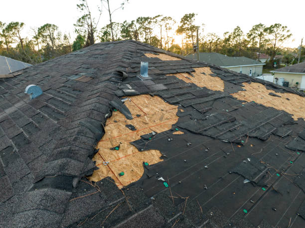 Best Storm Damage Roof Repair  in Jacinto City, TX